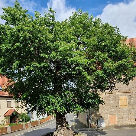 Ferienwohnung Zur Linde دتلباخ المظهر الخارجي الصورة